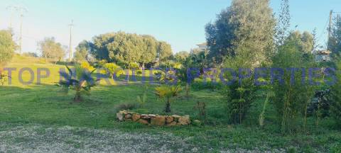 Terreno com Ruína com projecto de Construção