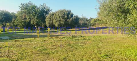 Terreno com Ruína com projecto de Construção