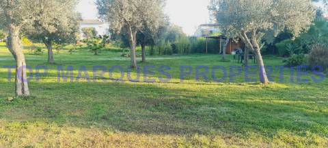 Terreno com Ruína com projecto de Construção