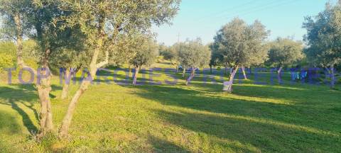 Terreno com Ruína com projecto de Construção