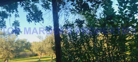 Terreno com Ruína com projecto de Construção