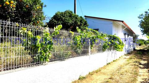 Moradia Isolada T3 Venda em Moncarapacho e Fuseta,Olhão