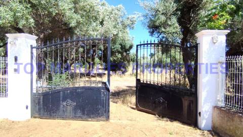 Moradia Isolada T3 Venda em Moncarapacho e Fuseta,Olhão