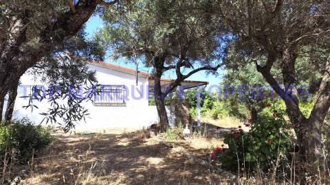Moradia Isolada T3 Venda em Moncarapacho e Fuseta,Olhão