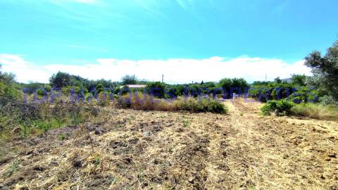 Moradia Isolada T3 Venda em Moncarapacho e Fuseta,Olhão