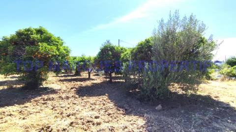 Moradia Isolada T3 Venda em Moncarapacho e Fuseta,Olhão