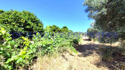 Moradia Isolada T3 Venda em Moncarapacho e Fuseta,Olhão