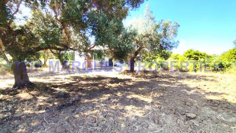 Moradia Isolada T3 Venda em Moncarapacho e Fuseta,Olhão