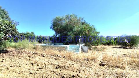 Moradia Isolada T3 Venda em Moncarapacho e Fuseta,Olhão