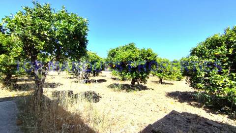 Moradia Isolada T3 Venda em Moncarapacho e Fuseta,Olhão