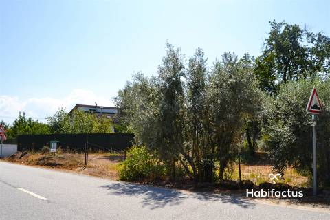 Terreno com viabilidade de construção em Vale Madeiros - Nelas