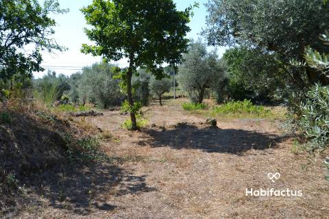 Terreno com viabilidade de construção em Vale Madeiros - Nelas