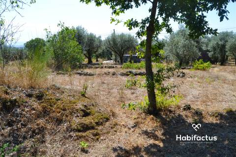 Terreno com viabilidade de construção em Vale Madeiros - Nelas