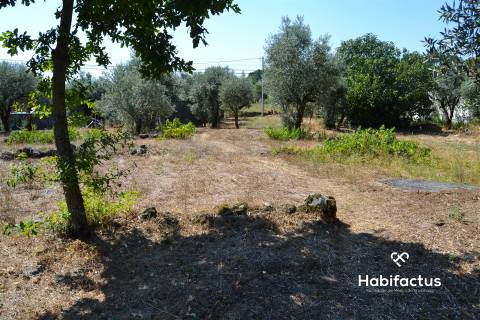 Terreno com viabilidade de construção em Vale Madeiros - Nelas