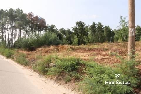 Lote de terreno para construção em Penalva do Castelo.