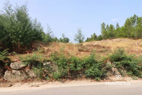 Lote de terreno para construção em Penalva do Castelo.