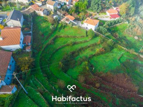 Quinta Brasonada Casa da Portela á venda em Mangualde: