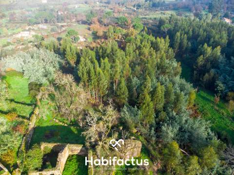 Quinta Brasonada Casa da Portela á venda em Mangualde: