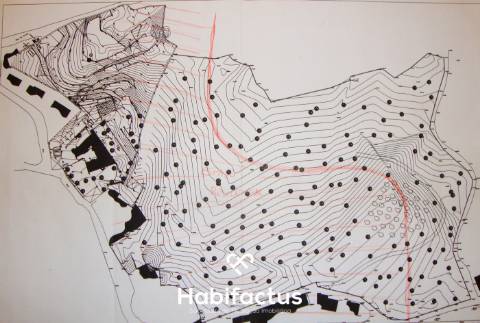 Quinta Brasonada Casa da Portela á venda em Mangualde: