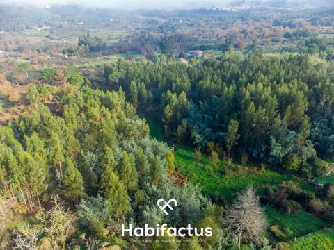 Quinta Brasonada Casa da Portela á venda em Mangualde:
