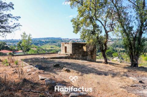Quinta Brasonada Casa da Portela á venda em Mangualde: