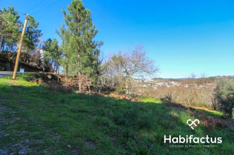 Terreno com projeto junto à cidade de Viseu