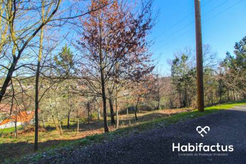 Terreno com projeto junto à cidade de Viseu