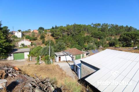 Terreno rústico com mata para venda a dez minutos do centro de Viseu