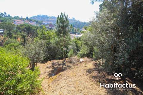 Terreno rústico com mata para venda a dez minutos do centro de Viseu