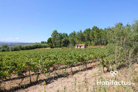 Terreno situado no coração do dão - Nelas