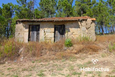 Terreno situado no coração do dão - Nelas