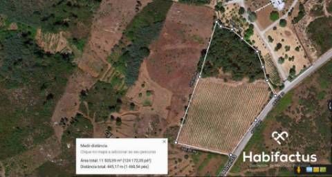 Terreno situado no coração do dão - Nelas