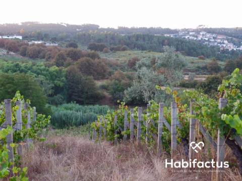 Terreno rústico com 6.600 m2 em Fragosela