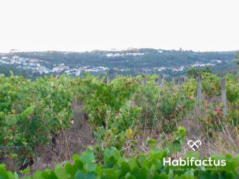 Terreno rústico com 6.600 m2 em Fragosela