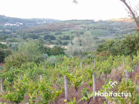 Terreno rústico com 6.600 m2 em Fragosela