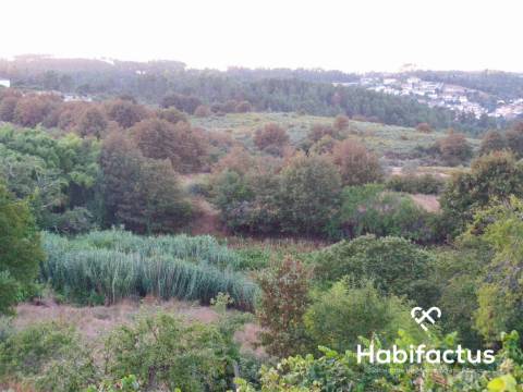 Terreno rústico com 6.600 m2 em Fragosela