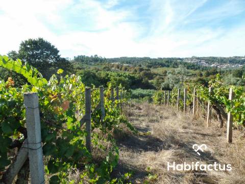 Terreno rústico com 6.600 m2 em Fragosela