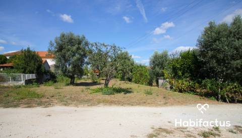 Excelente terreno com viabilidade construtiva em Carregal do Sal.