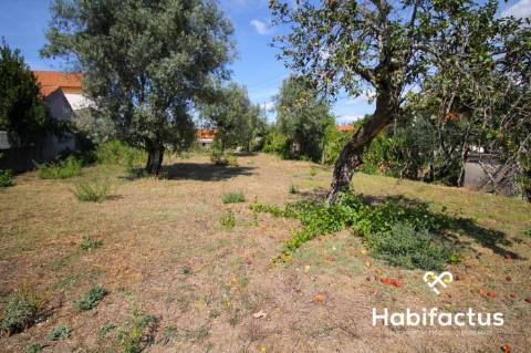 Excelente terreno com viabilidade construtiva em Carregal do Sal.