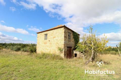 Quinta Rústica com Moradia em Pedra em Vila Cortês da Serra