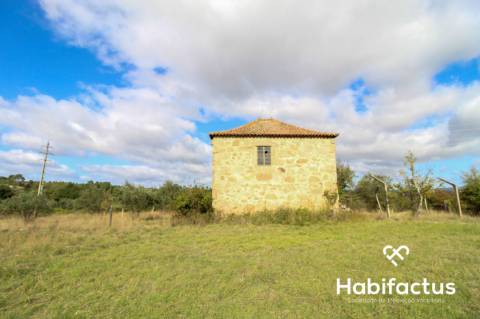 Quinta Rústica com Moradia em Pedra em Vila Cortês da Serra