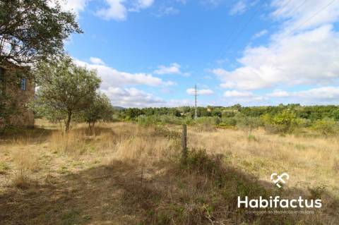 Quinta Rústica com Moradia em Pedra em Vila Cortês da Serra