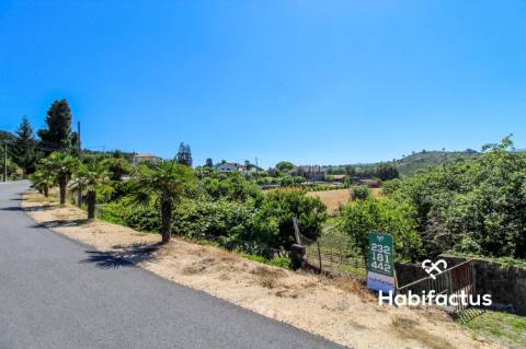 Terreno para construção a 15 km de Mangualde.