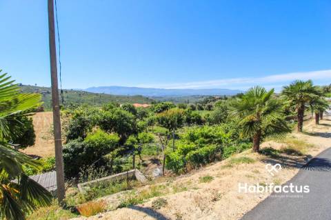 Terreno para construção a 15 km de Mangualde.