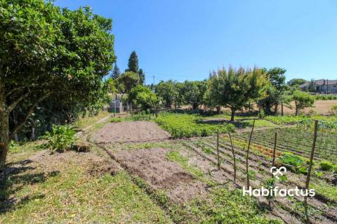 Terreno para construção a 15 km de Mangualde.
