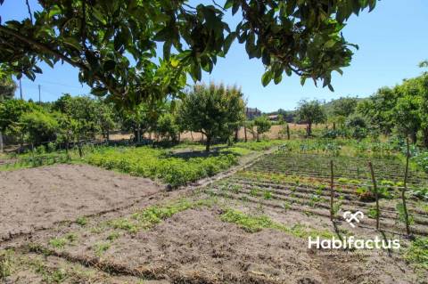Terreno para construção a 15 km de Mangualde.