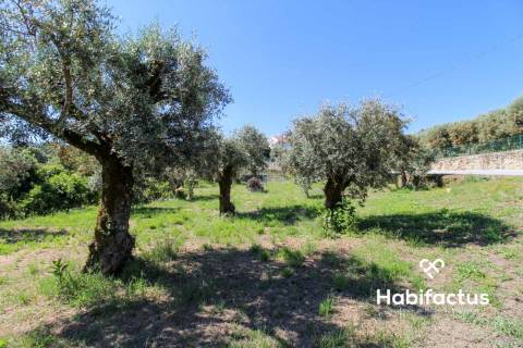 Terreno com viabilidade para construção a 9 km de Mangualde