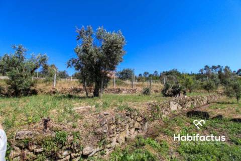 Terreno com viabilidade para construção a 9 km de Mangualde
