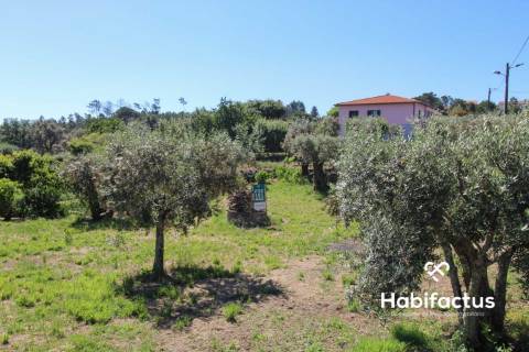 Terreno com viabilidade para construção a 9 km de Mangualde