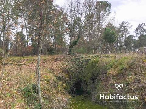 Terreno com viabilidade construtiva em Santar